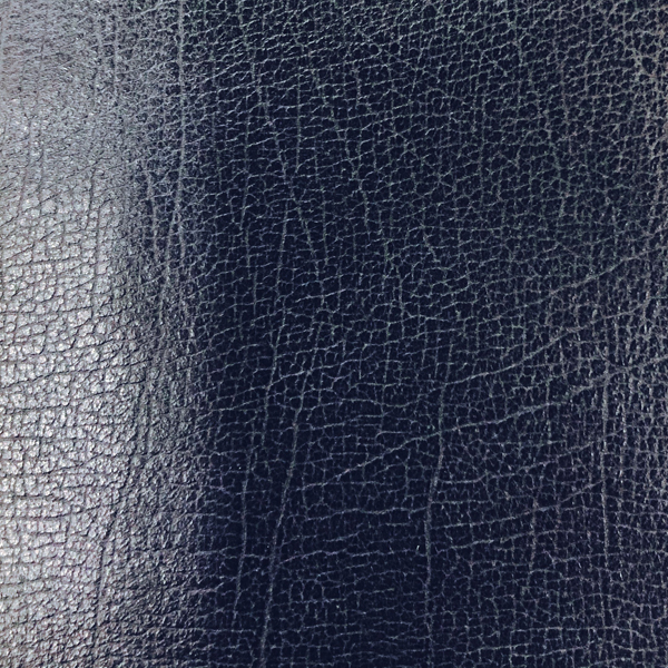 C11 C11